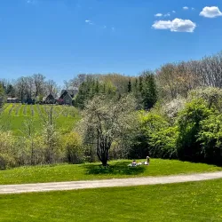 Beamer Memorial Conservation Area - Fonthill