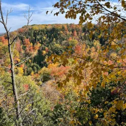 Beamer Memorial Conservation Area - Fonthill