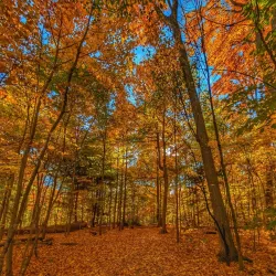 Beamer Memorial Conservation Area - Fonthill