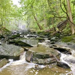 Beamer Memorial Conservation Area - Fonthill