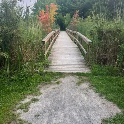 Chippawa Creek Conservation Area - Fonthill