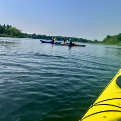 Chippawa Creek Conservation Area - Fonthill