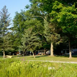 Chippawa Creek Conservation Area - Fonthill