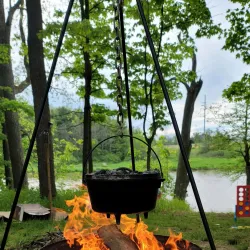 Chippawa Creek Conservation Area - Fonthill