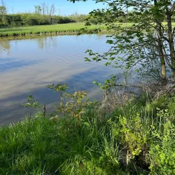 Chippawa Creek Conservation Area - Fonthill