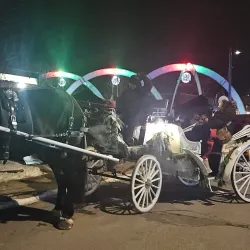 Fonthill Farmers Market - Fonthill