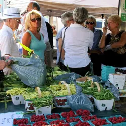 Fonthill Farmers Market - Fonthill