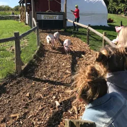Fonthill Heritage Museum - Fonthill