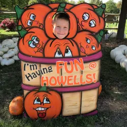 Fonthill Heritage Museum - Fonthill