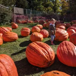 Fonthill Heritage Museum - Fonthill
