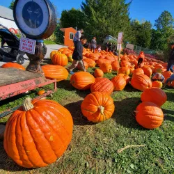 Fonthill Heritage Museum - Fonthill