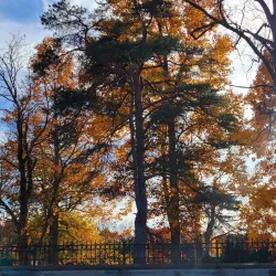 Fonthill Village - Fonthill