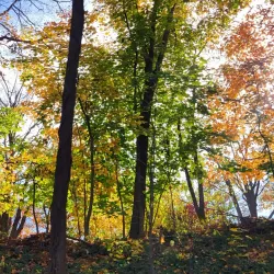 Fonthill Village - Fonthill