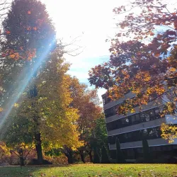 Fonthill Village - Fonthill