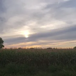 Fonthill Village - Fonthill