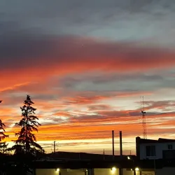 Fonthill Village - Fonthill