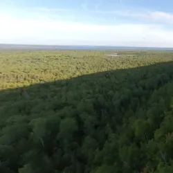 Niagara Escarpment - Fonthill