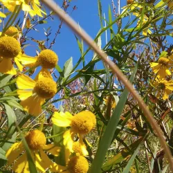 Pelham Hills Golf Club - Fonthill