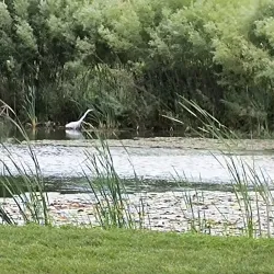 Pelham Hills Golf Club - Fonthill