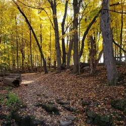 Short Hills Provincial Park - Fonthill
