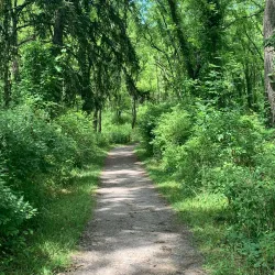Short Hills Provincial Park - Fonthill