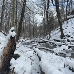 Short Hills Provincial Park - Fonthill