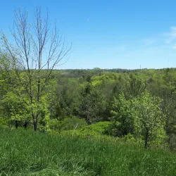 Short Hills Provincial Park - Fonthill