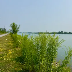 Welland Canal Parkway Trail - Fonthill