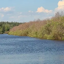 Fort Chipewyan Cemetery - Fort Chipewyan