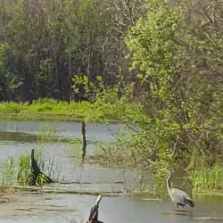 Wood Buffalo National Park - Fort Chipewyan