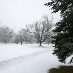 Chippawa Park - Fort Erie