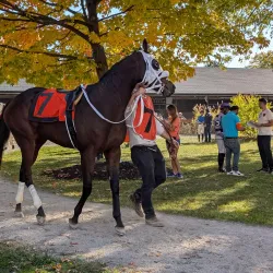 Fort Erie Race Track - Fort Erie