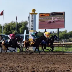 Fort Erie Race Track - Fort Erie