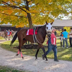 Fort Erie Race Track - Fort Erie