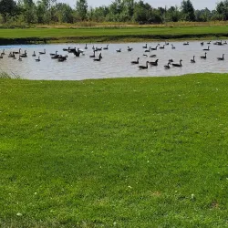 Niagara Pines Golf Club - Fort Erie