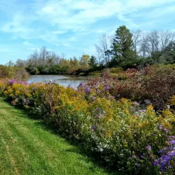 Niagara Pines Golf Club - Fort Erie