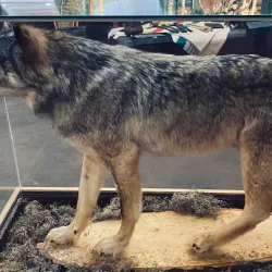 Rainy Lake Visitor Centre - Fort Frances