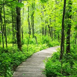 Voyageur Provincial Park - Fort Frances