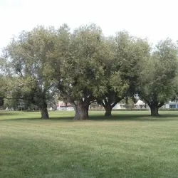 Fort McMurray Farmers Market - Fort McMurray