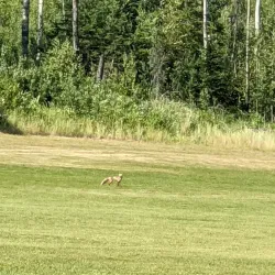 Gregoire Lake Provincial Park - Fort McMurray