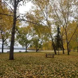 Gregoire Lake Provincial Park - Fort McMurray