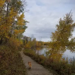 Gregoire Lake Provincial Park - Fort McMurray