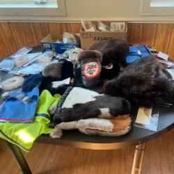 Local Art and Craft Shops - Fort Resolution