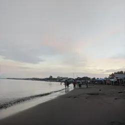 Outdoor Activities and Wildlife Viewing - Fort Resolution