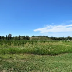 Fort Saskatchewan River Valley Park - Fort Saskatchewan