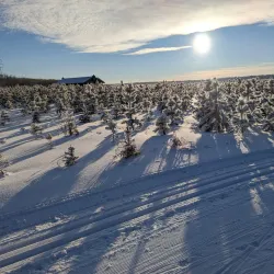 River Valley Trails - Fort Saskatchewan