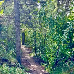 River Valley Trails - Fort Saskatchewan
