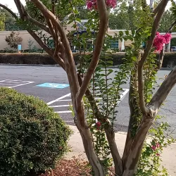 Fort Smith Public Library - Fort Smith