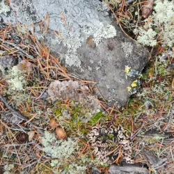 Hiking Trails around Fort Smith - Fort Smith