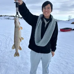 Northern Lights Viewing - Fort Smith